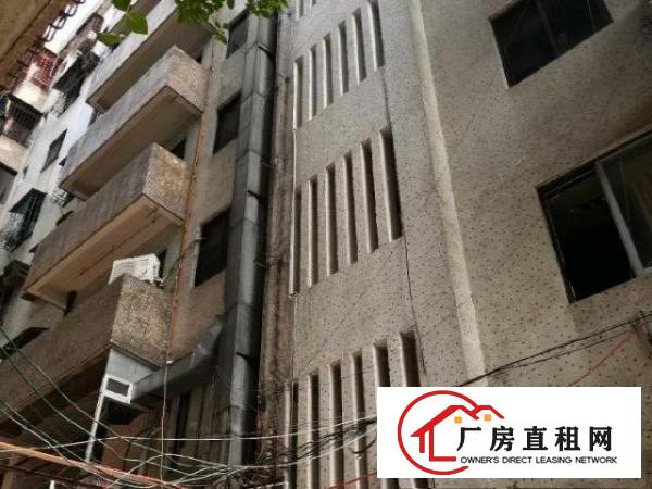  包租的福音，41间房，全部都有窗户，
