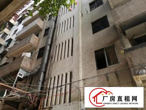  包租的福音，41间房，全部都有窗户，