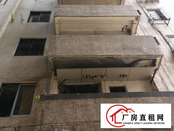  包租的福音，41间房，全部都有窗户，