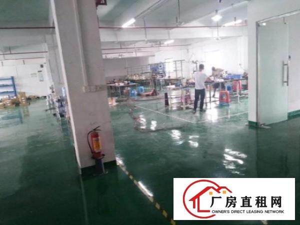  石龙工业区第三栋三层厂房900平米