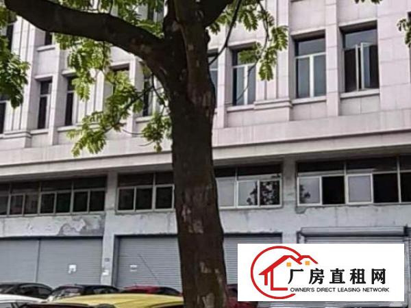  业主招租-整栋（可做大型餐厅，酒店，公司，银行等）2600方