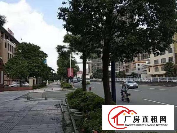  业主招租-整栋（可做大型餐厅，酒店，公司，银行等）2600方