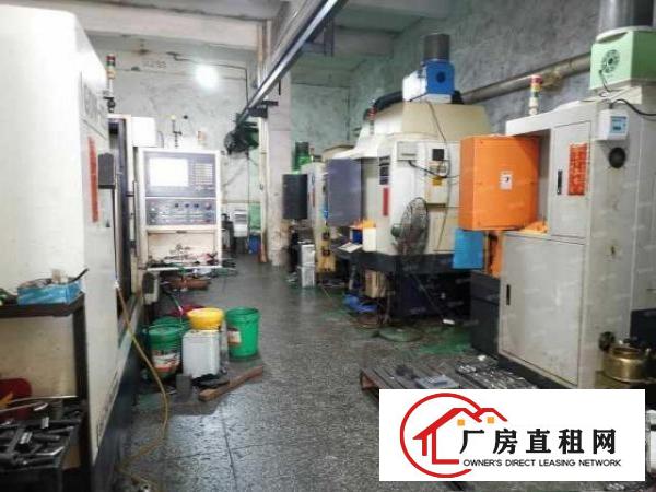  石龙西湖村一楼出租厂房260平，带行车