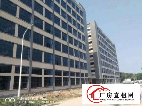  桥头10万平全新红本厂房出租分租500平起租可办环评
