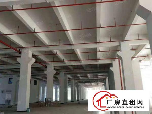  桥头10万平全新红本厂房出租分租500平起租可办环评