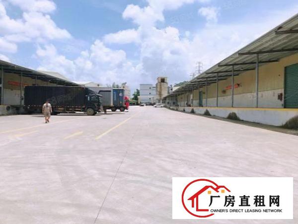  塘厦新出独栋钢构厂房3400平出租可分租