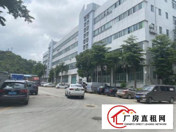  塘厦东深工业园2万平厂房出租精装修一楼仓房500平起分租