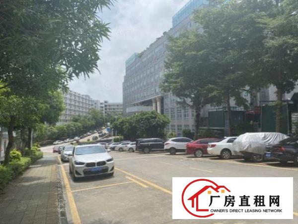  塘厦东深工业园2万平厂房出租精装修一楼仓房500平起分租