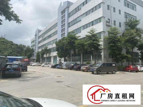  塘厦东深工业园2万平厂房出租精装修一楼仓房500平起分租