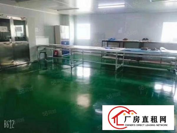  大岭山107道边现成5800平无尘车间出租豪华办公室装修