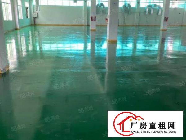  凤岗五联厂房出租带消防喷淋一二楼各1000平可分租！