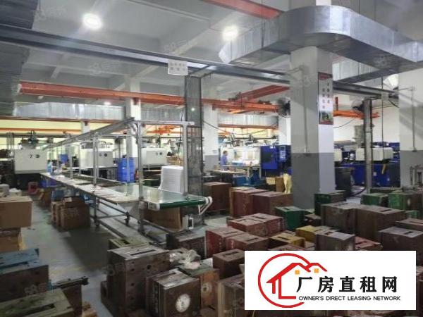  凤岗五联厂房出租带消防喷淋一二楼各1000平可分租！