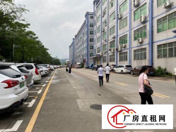  塘厦168工业园2万平厂房出租精装修一楼仓房500平起分租
