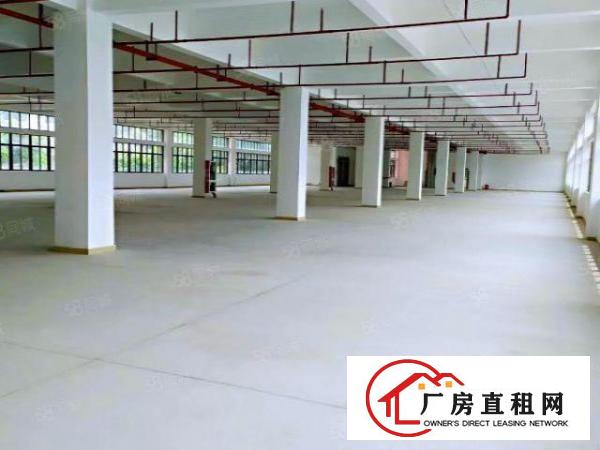  高科技产业园新出厂房招租，带政府补贴，带现成环评，可以分租