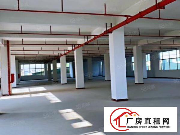  高科技产业园新出厂房招租，带政府补贴，带现成环评，可以分租