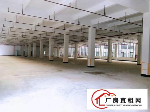  高科技产业园新出厂房招租，带政府补贴，带现成环评，可以分租