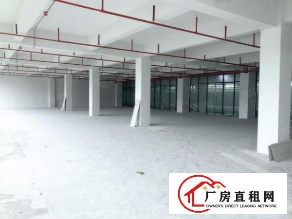  石排燕窝一楼1800平方精修办公室形象好，靠近公路交通便利