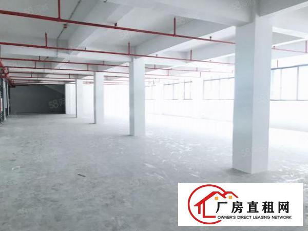  石排燕窝一楼1800平方精修办公室形象好，靠近公路交通便利