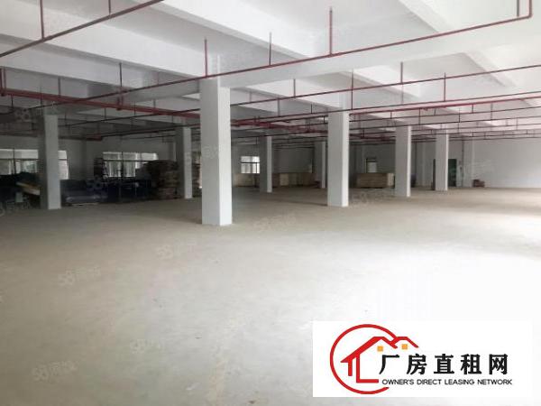  石排燕窝一楼1800平方精修办公室形象好，靠近公路交通便利