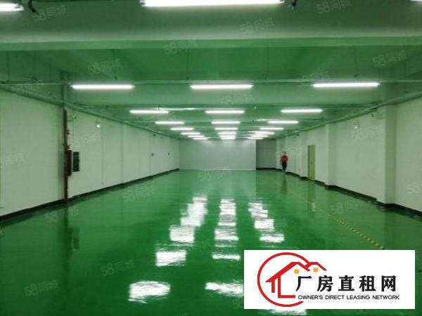  靠市区出租楼上带装修，带水电办公室，带正规电梯，500起分租