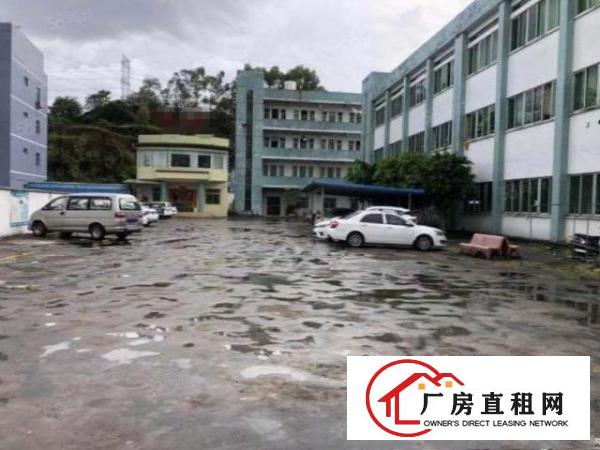  靠市区出租楼上带装修，带水电办公室，带正规电梯，500起分租