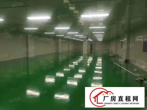  靠市区出租楼上带装修，带水电办公室，带正规电梯，500起分租