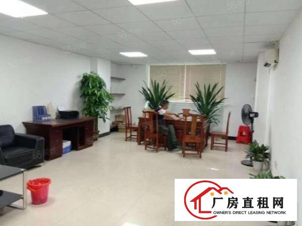  出租|凤岗官井头一楼1000平方精装修可办环评可分租带牛角