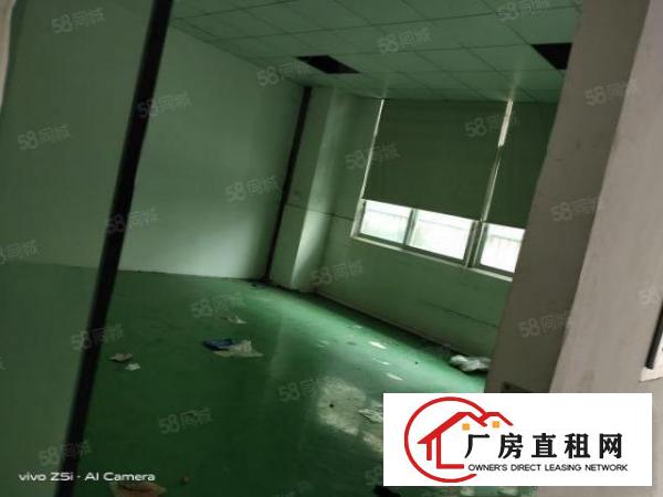  西湖原房东一楼1000方高度6.5米，超低价16，可分租
