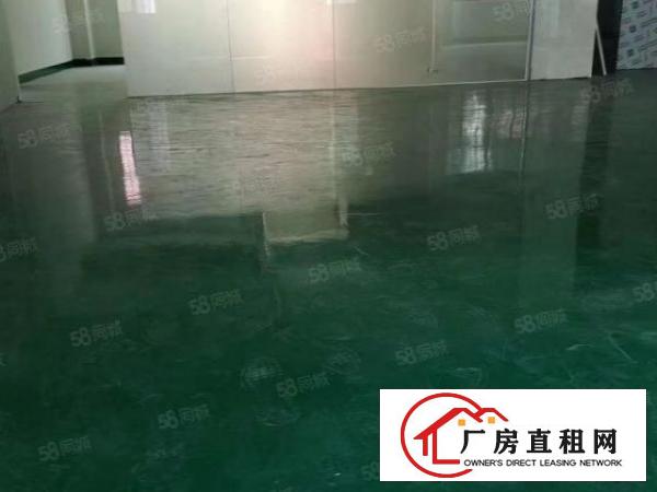  西湖原房东一楼1000方高度6.5米，超低价16，可分租