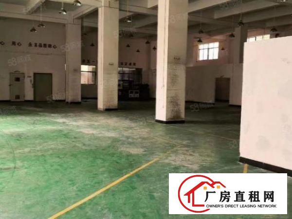  西湖原房东一楼1000方高度6.5米，超低价16，可分租