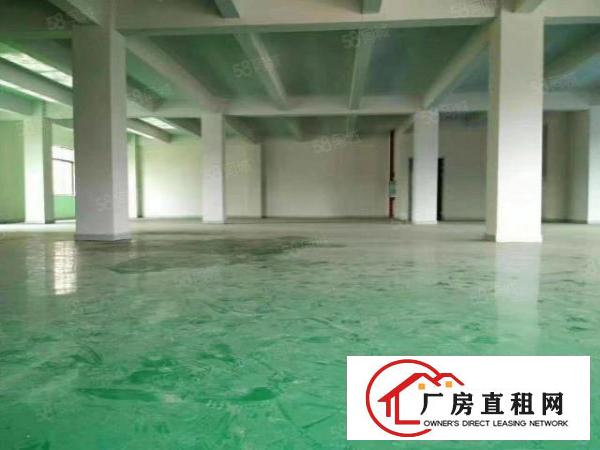  厂房出租！地址石龙镇可分租，可整租，形象好！面积大，空地大！