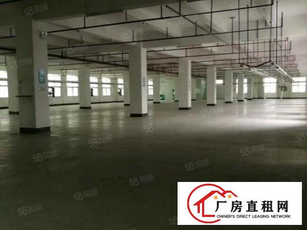  厂房出租！地址石龙镇可分租，可整租，形象好！面积大，空地大！