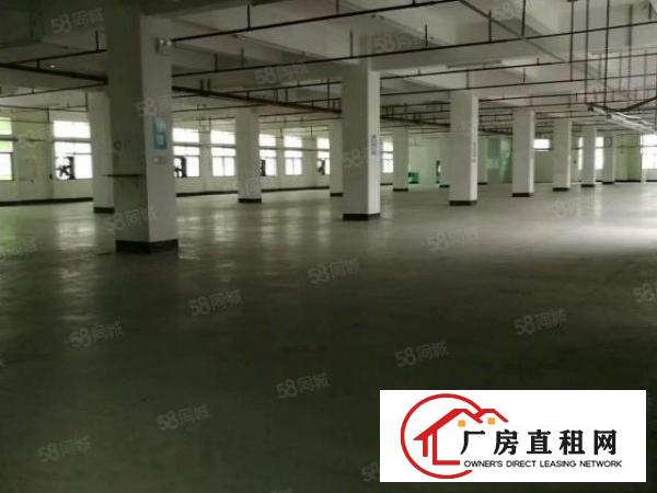  厂房出租！地址石龙镇可分租，可整租，形象好！面积大，空地大！