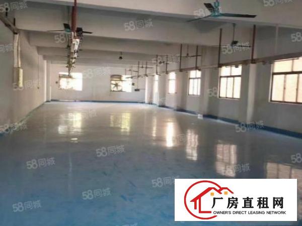  石龙林屋村二楼280平厂房招租，水电齐全