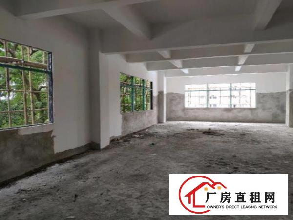  新建独栋厂房，带电梯，大车出入方便，可分租
