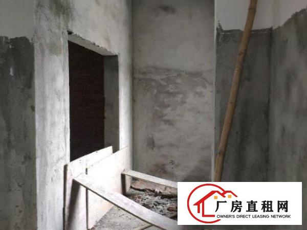  新建独栋厂房，带电梯，大车出入方便，可分租