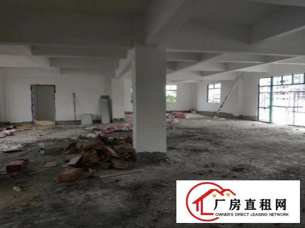  新建独栋厂房，带电梯，大车出入方便，可分租
