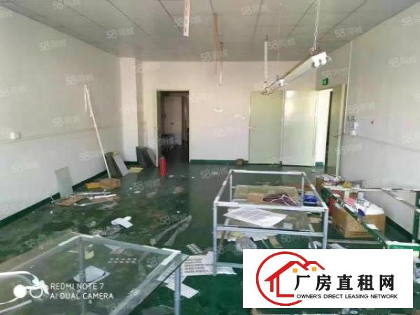  石龙蒲溪村精装修260平厂房出租