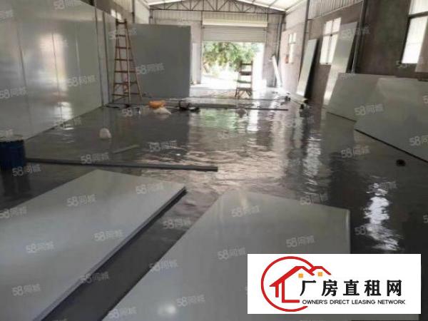  石龙兴龙社区独院300平米厂房出租！高5米