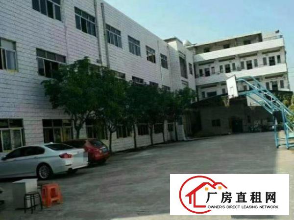  出租石碣石碣城区，250平厂房，价格便宜，位置优越，急租急租