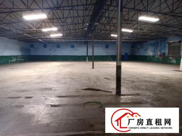  独院一楼高度9米形象