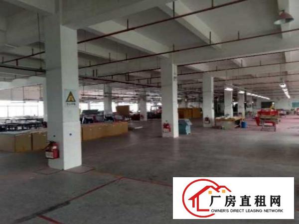  石碣环评路外工业园区分租