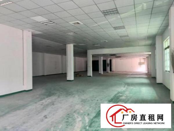  石碣环评路外工业园区分租