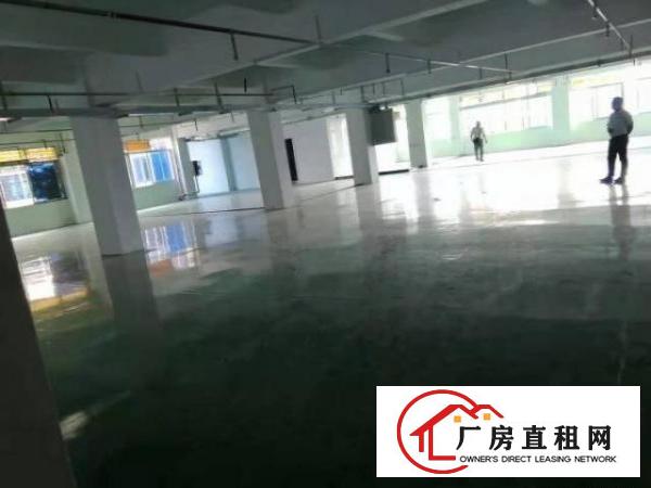  石碣环评路外工业园区分租