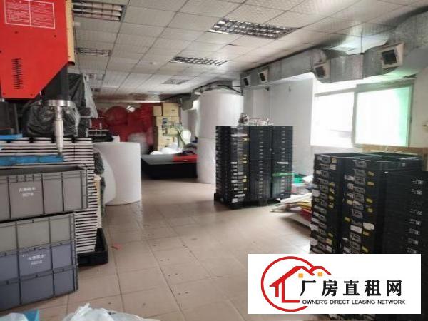  出租石碣城区工业园厂房二楼有货梯