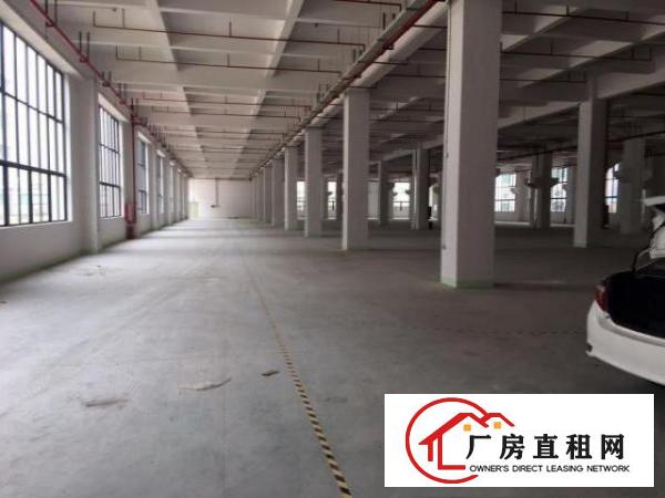  全新标准一楼厂房招租，形象大气