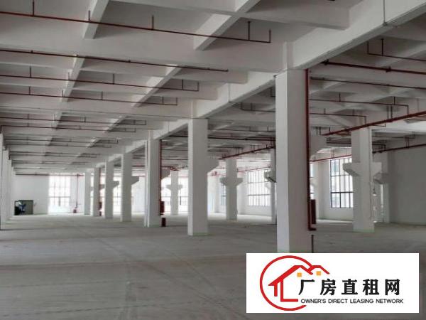  全新标准一楼厂房招租，形象大气