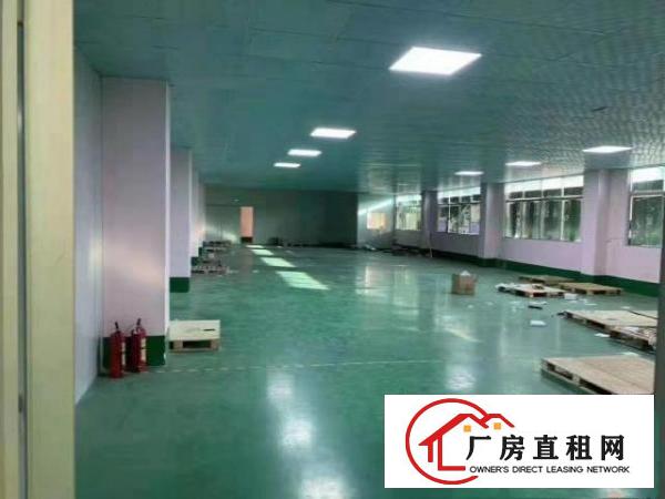  出租石碣镇石碣城区600平方厂房，价格便宜可分隔