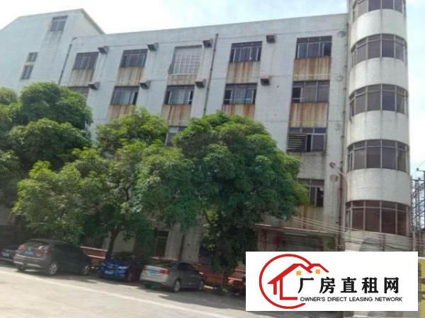  石碣唐洪工业区独立一楼已装修厂房出租（非常实用,非中介）