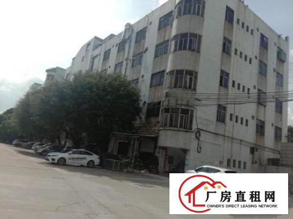  石碣唐洪工业区独立一楼已装修厂房出租（非常实用,非中介）